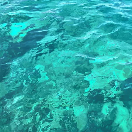 Saylam 4* Kaş
